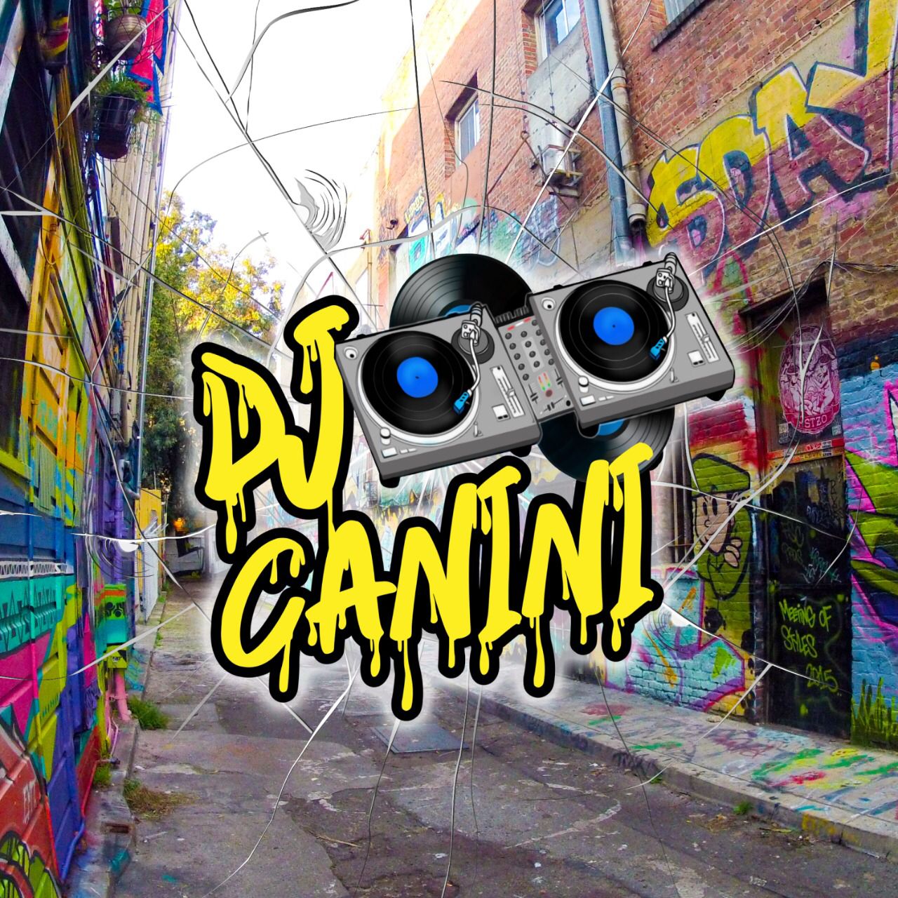 DJ CANINI